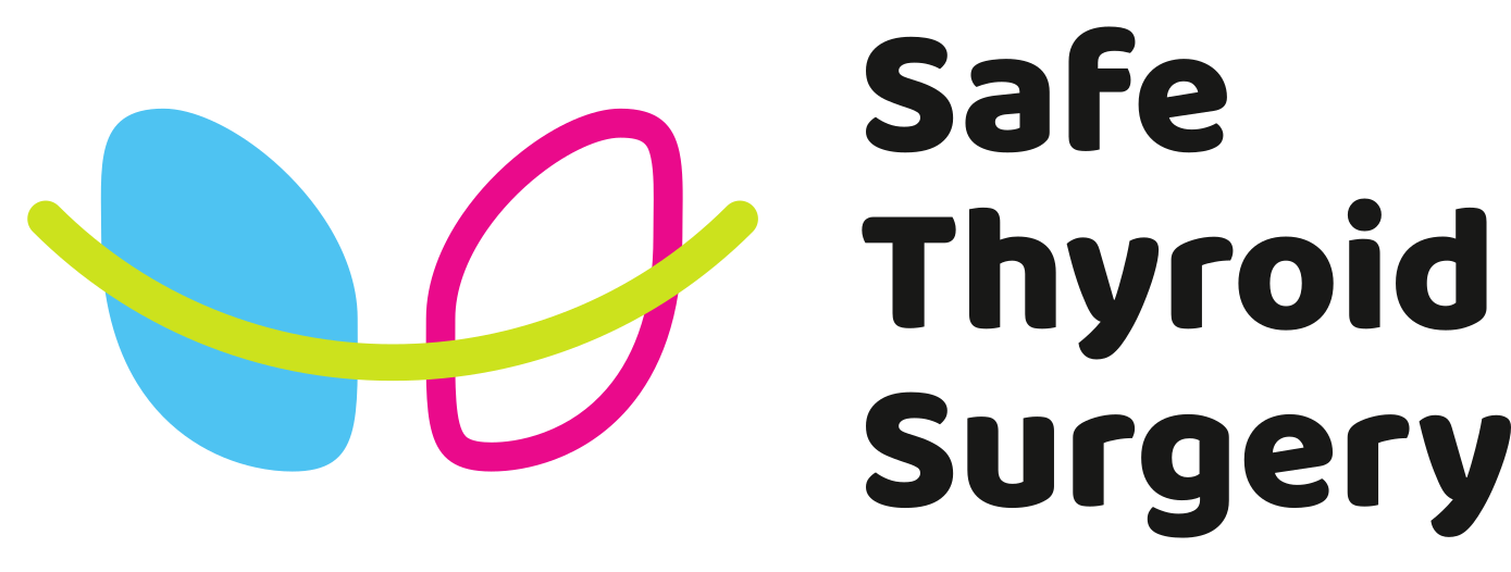 LOGO-STS